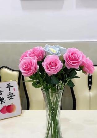 玫瑰花在寒冷天气下为何会枯萎？