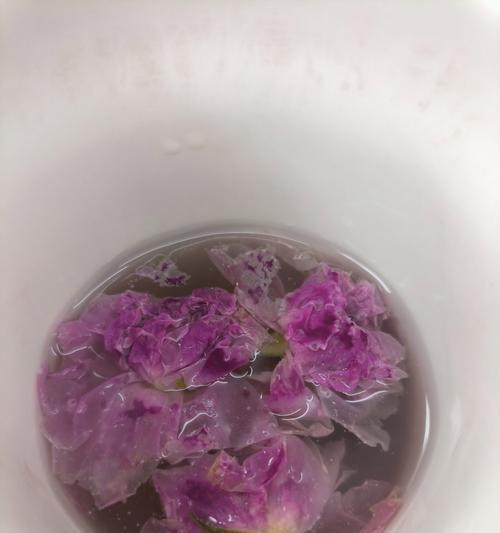 玫瑰花浇水的正确方法是什么？