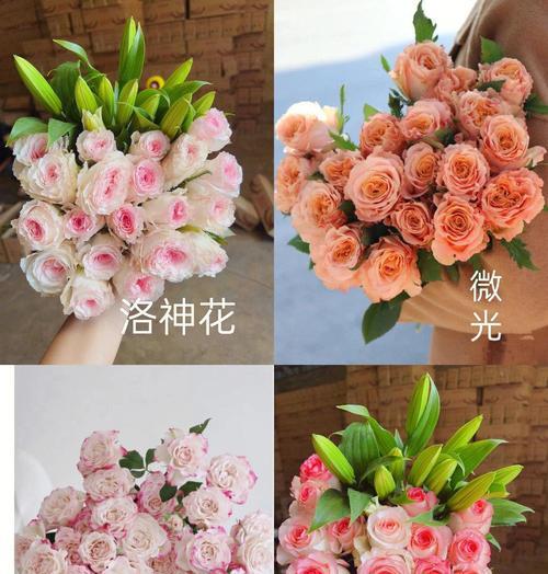新购买的玫瑰花应该如何养护？