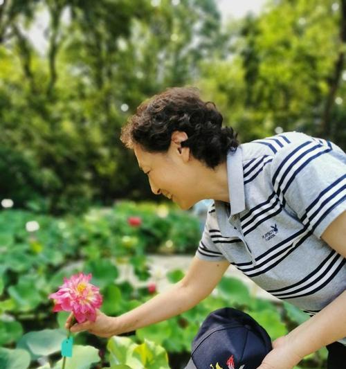 牡丹花出现莲蓬现象怎么办？