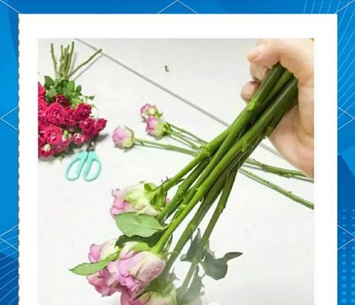 湿透的玫瑰花应该怎样进行养护？