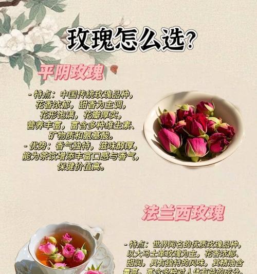 湿透的玫瑰花应该怎样进行养护？