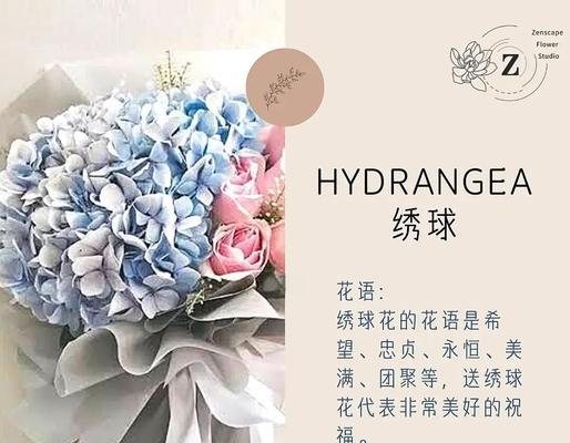 紫色金刚仙人球的养护难度如何？