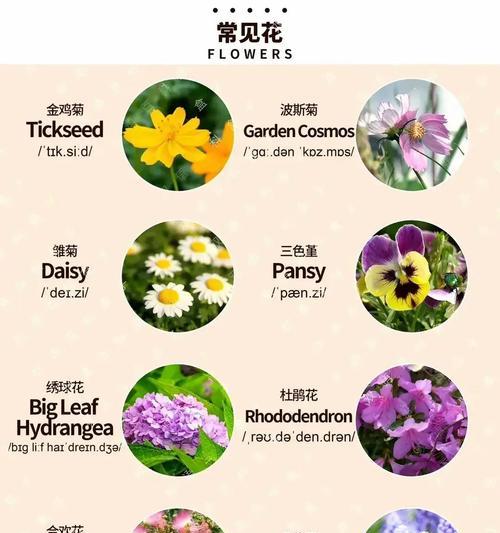 紫色金刚仙人球的养护难度如何？