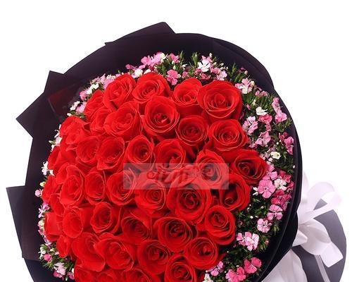 玫瑰花嫩芽红色代表什么品种？
