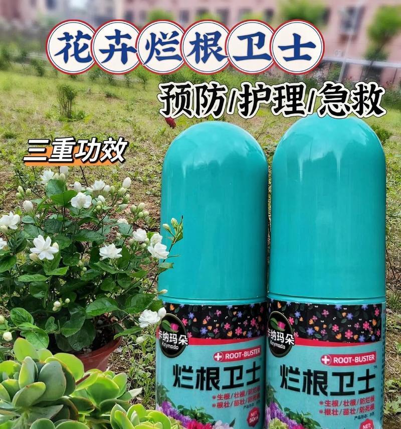 仙人掌干瘪发黄的原因是什么？
