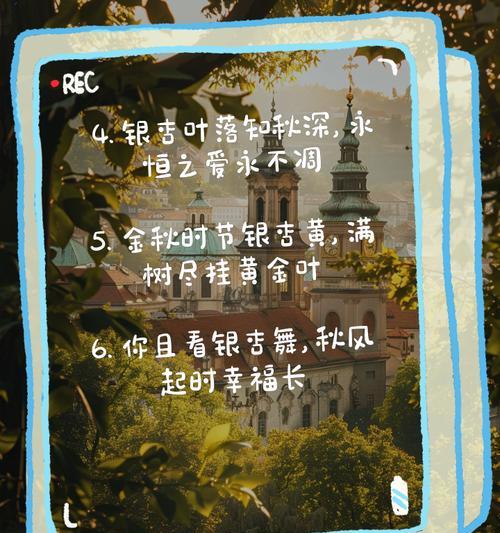 银杏叶的花语及其代表意义是什么？