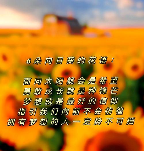 向日葵象征着什么？花语有何深意？