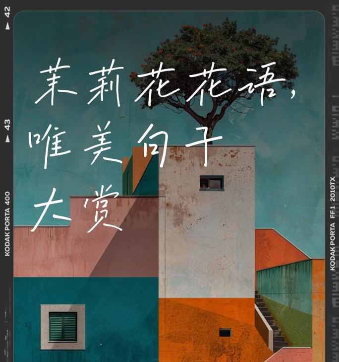 茉莉花的花语和寓意的是什么？它象征着什么？
