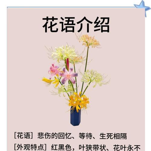十大花语悲伤的花典故是什么？它们都有哪些含义？