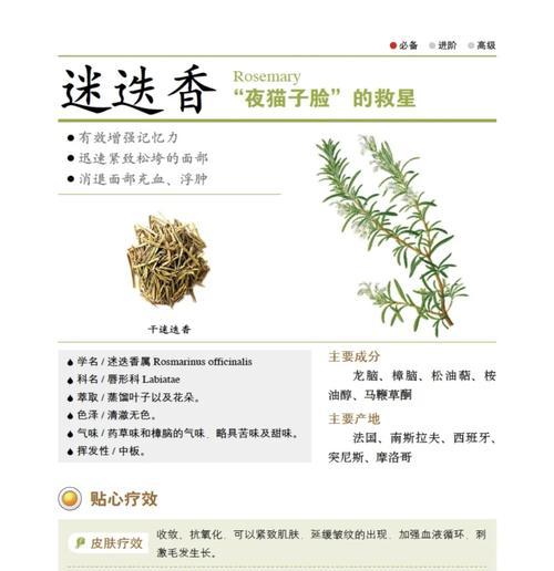 迷迭香花语打一个成语？迷迭香的花语能用哪个成语形容？