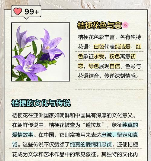 花语代表永恒的爱是什么花？这种花的花语是什么？