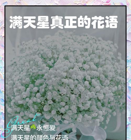西瓜红满天星的花语是什么？西瓜红满天星象征着什么？