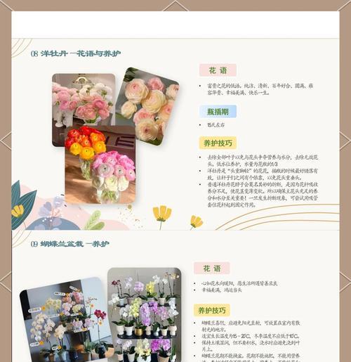 紫色金鱼草的花语有何特别含义？