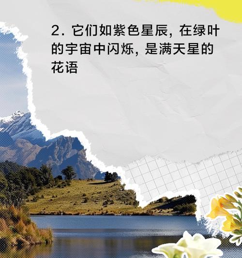满天星的花语传说有哪些？