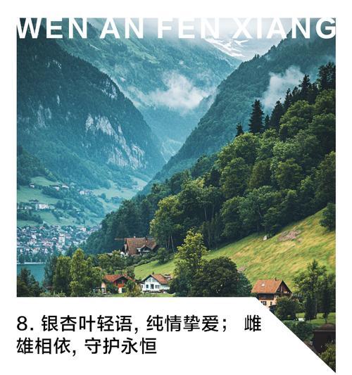 银杏叶的花语如何形容？