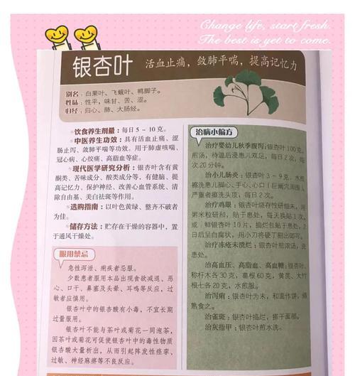 银杏叶的花语如何形容？