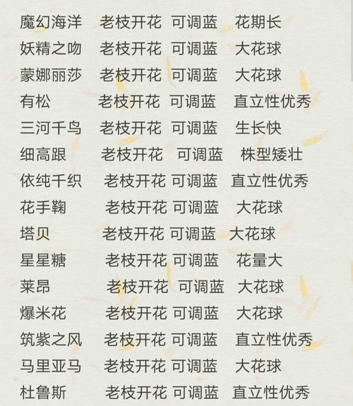 绣花语具体是什么意思？