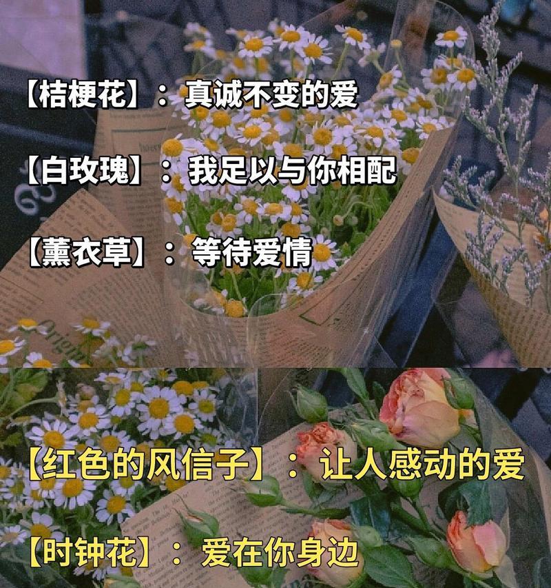 各种花的花语及其象征意义是什么？