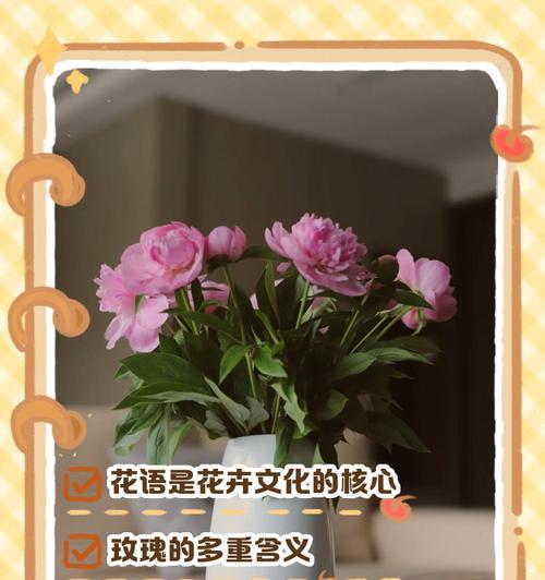 每种颜色花的花语有哪些？颜色花的寓意是什么？