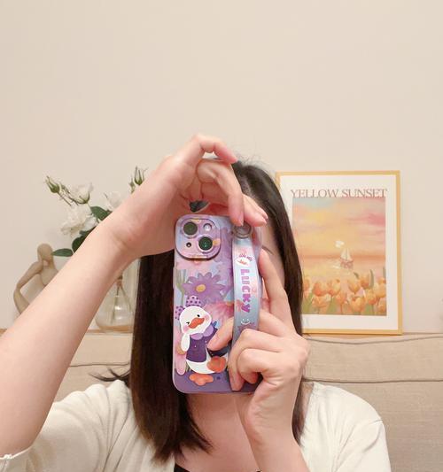 紫菊的花语和寓意是什么？紫菊象征着什么？