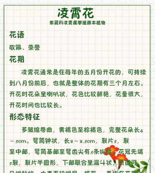 花语相互尊重的花是什么？有哪些推荐？