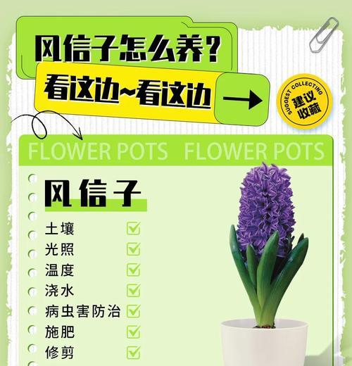 吸管做风信子花语是什么？创意表达方式有哪些？