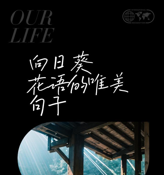 向日葵的负面花语是什么？有哪些不为人知的含义？
