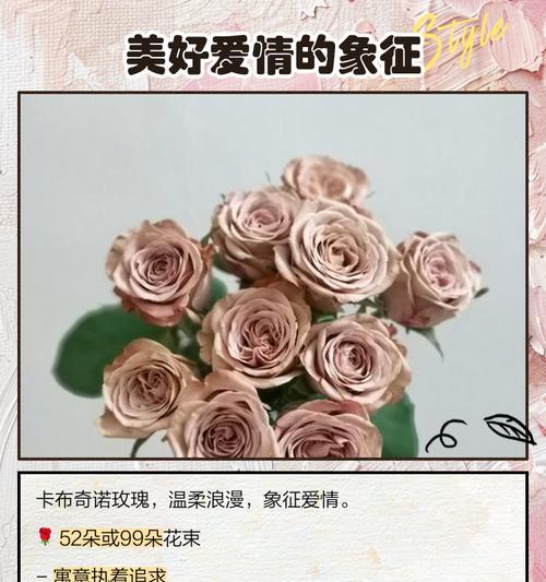 粉玫瑰花语怎么养？粉玫瑰的养护方法是什么？