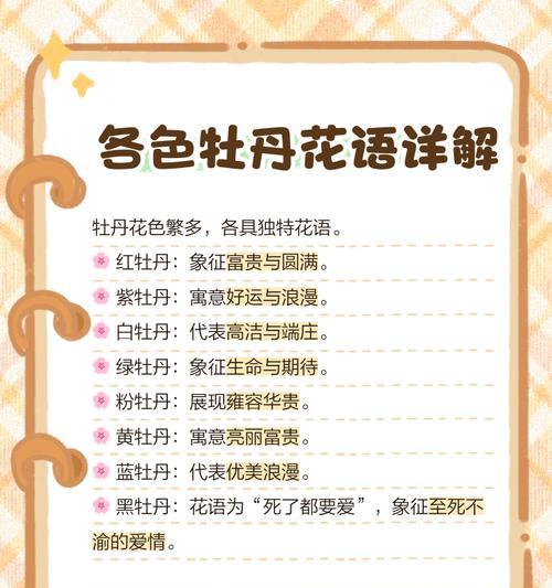 牡丹菊是哪的花语？牡丹菊的寓意是什么？