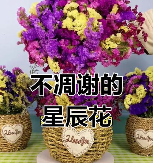 勿忘我花及其花语是什么？勿忘我的寓意和象征？