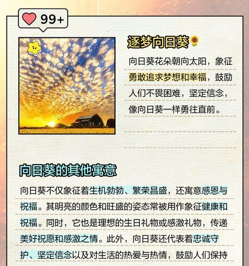 向日葵反面花语的含义是什么？