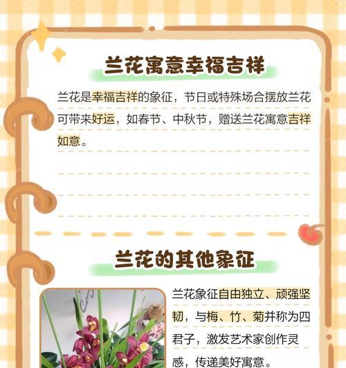 粉兰花的花语有哪些含义？