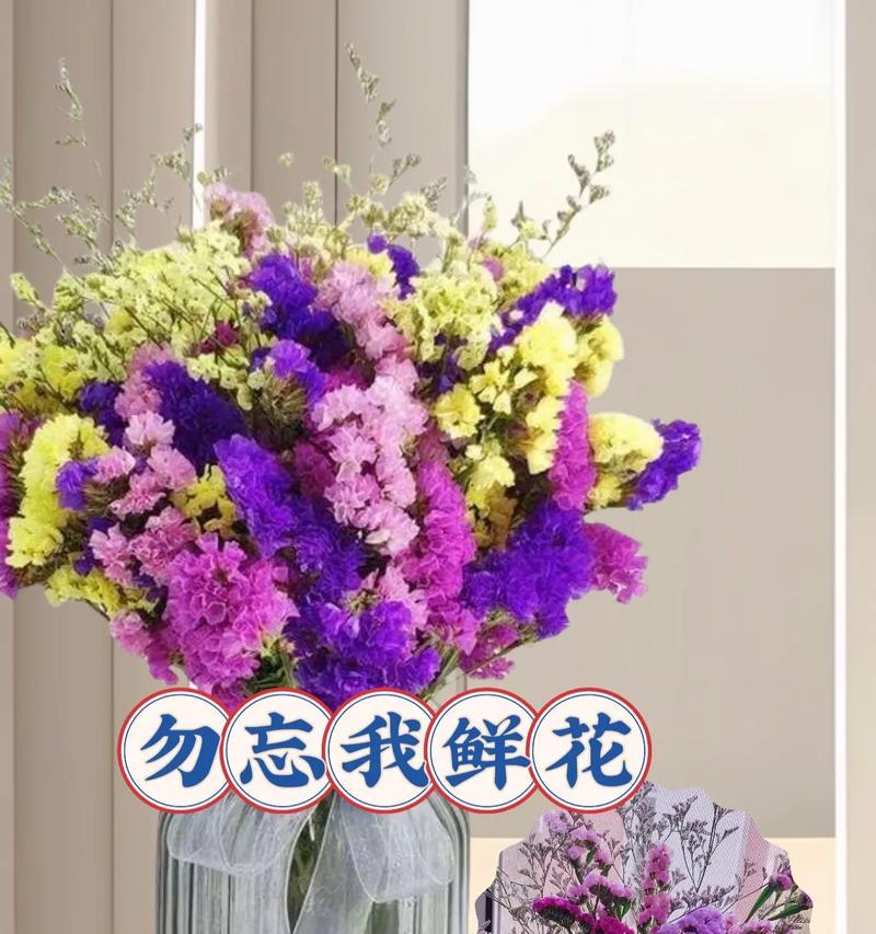 勿忘我花语的简短含义是什么？