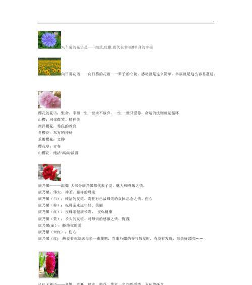 墨兰花语及其意义有哪些？