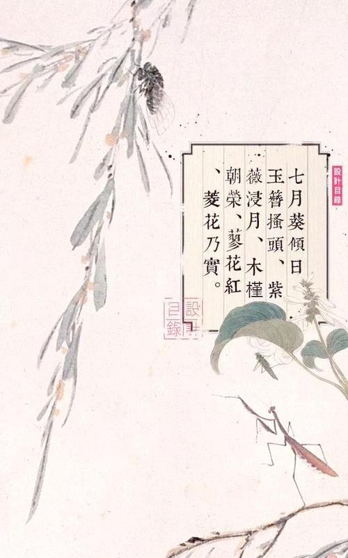出生的花语有哪些含义？