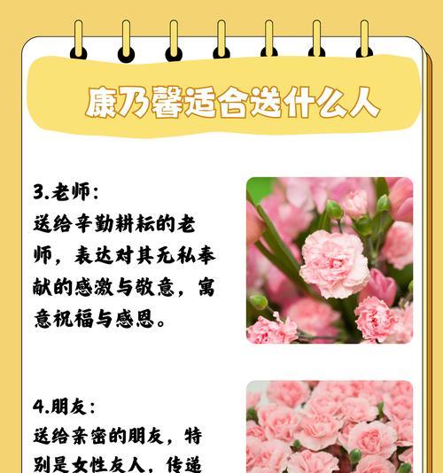 康乃心的花语有哪些含义？