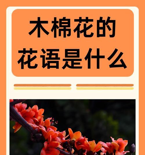 有哪些花代表美好花语？美好花语的花有哪些？