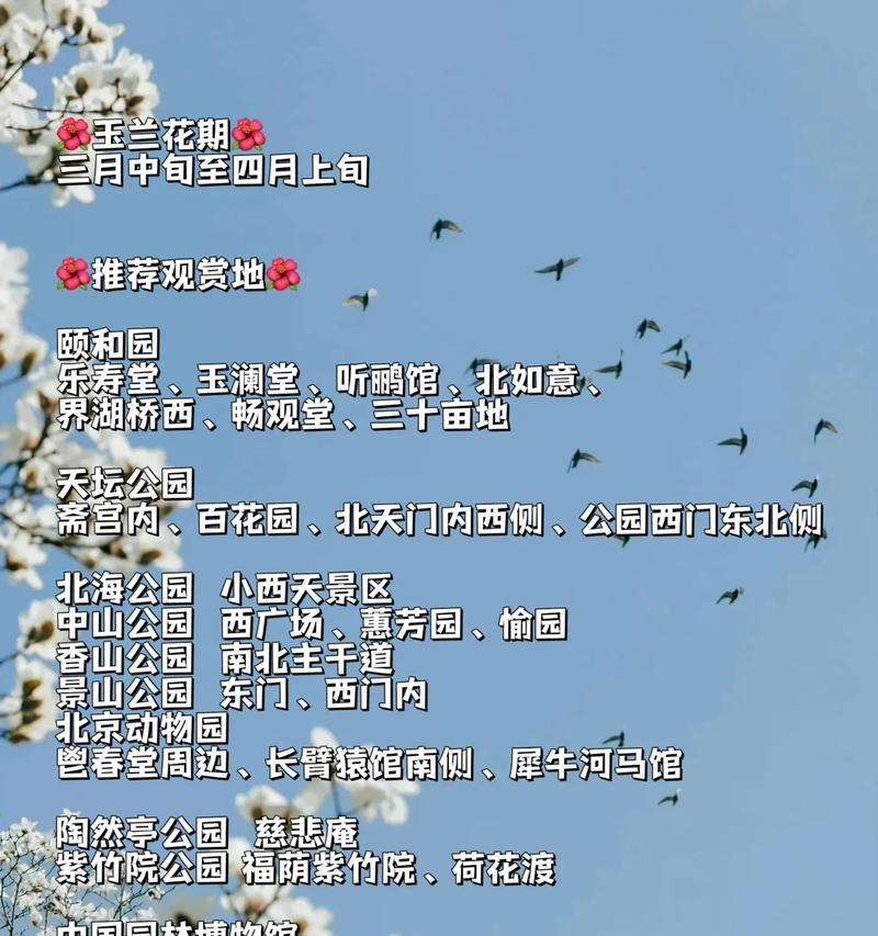 白玉兰的花语是什么？寓意有哪些？