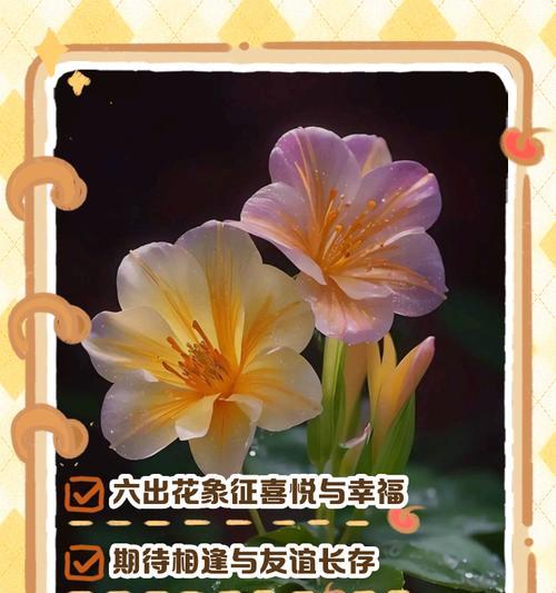 哪种花的花语代表最后？它的含义是什么？