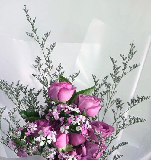 跳舞草的花语有哪些？它象征着什么？