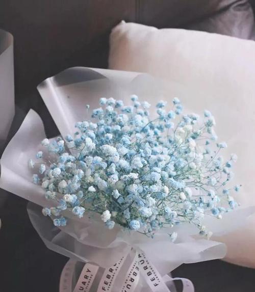 35束满天星的花语是什么？它有何特别含义？