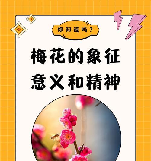 哪种花的花语是关于朋友的？它代表了什么？