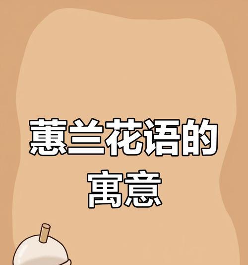 惠兰的花语和寓意是什么？它象征着什么？