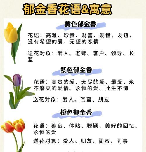 浅黄色郁金香的花语代表什么？
