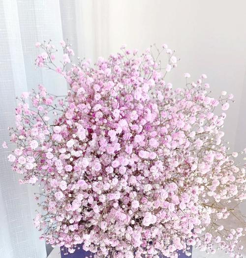 香槟加满天星的花语代表什么？