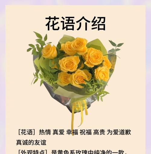 16只黄玫瑰代表什么？黄玫瑰花语有哪些？