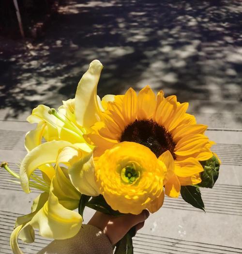 向日葵花语有几个？向日葵的花语代表什么？
