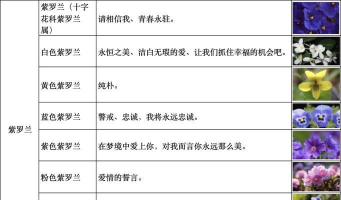 花事花语的同义词是什么？花语的同义词有哪些？