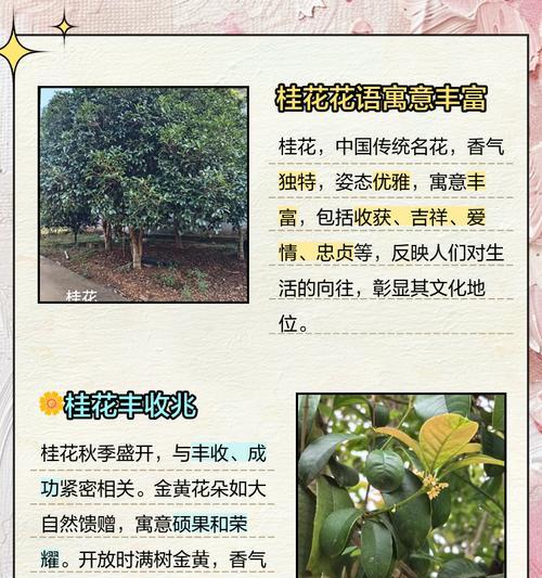 哪些花语寓意不太好？寓意不好的花语有哪些？